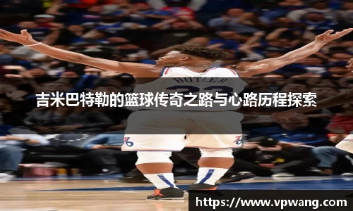 快盈VIII