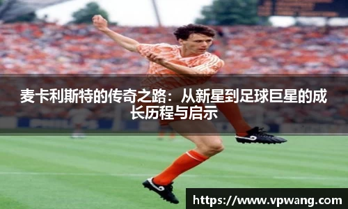 快盈VIII